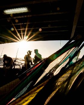 abrolhos 2014