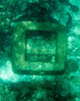 abrolhos 2014
