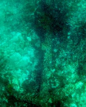 abrolhos 2014