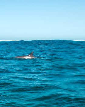 abrolhos 2014
