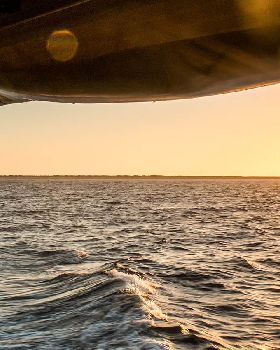 abrolhos 2014