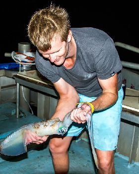 abrolhos 2014