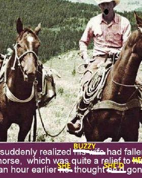 Buzzy Horses