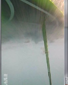 fin under water