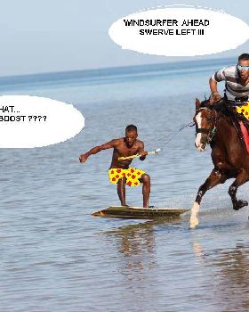 horse