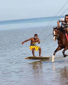 kite horse two.