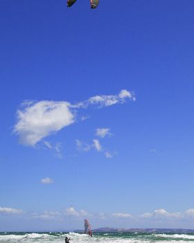 Carlton today