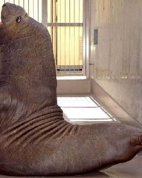 eseal
