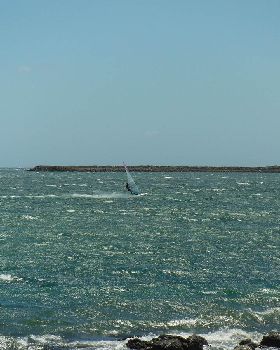 Wild Lagoon