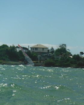 Wild Lagoon