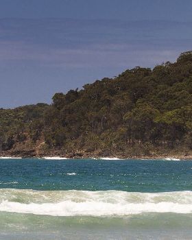 noosa small cyclone swell