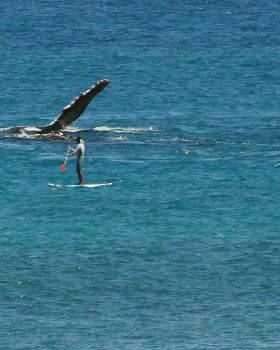 Windsurfing