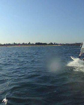 Photos of random people windsurfing 9/Feb or 21/Jan