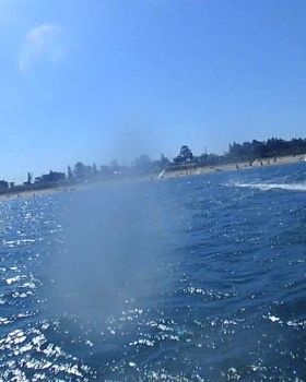 Photos of random people windsurfing 9/Feb or 21/Jan