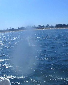 Photos of random people windsurfing 9/Feb or 21/Jan