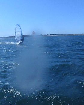 Photos of random people windsurfing 9/Feb or 21/Jan