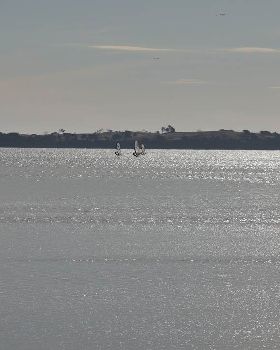 DSC00357 S
