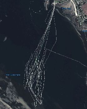 Bens Tamar Record Run