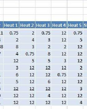 Free Formula - NSW Windsurfing Series 2013-2014 after 5 heats
