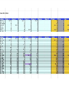 NSW Series tally to date