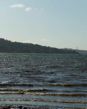 Paperbeach