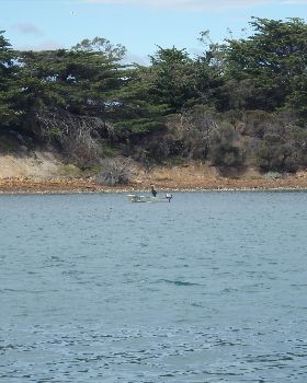 WT Fishing day