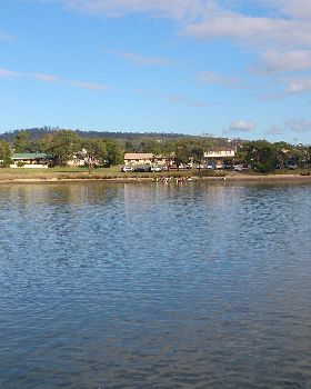 oyster day cremorne