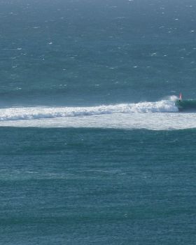 Trip to the brainDSC09410