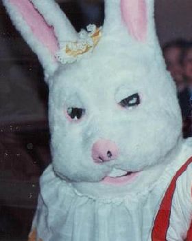 bunny