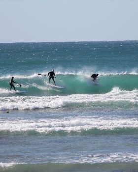 Windsurfing