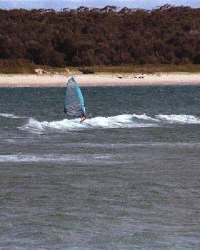 Windsurfing