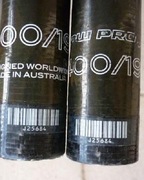 Avanti C100 400 RDM Mast 1