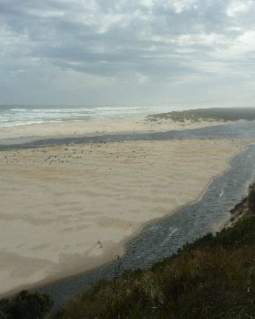 henty river 15/5/14