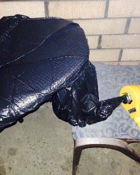 Nose Repair