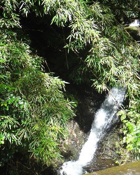 DSC00169