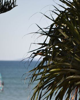 Windsurf caloundra