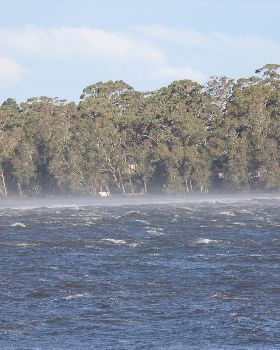 Windsurfing