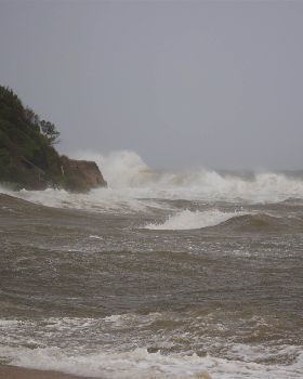 DSC07790