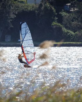 Windsurfing