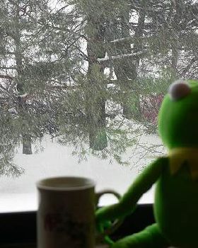 kermit