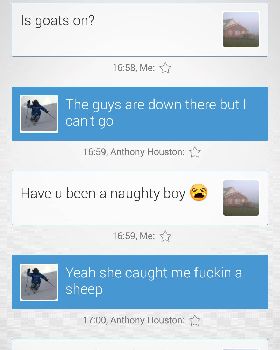 sheep