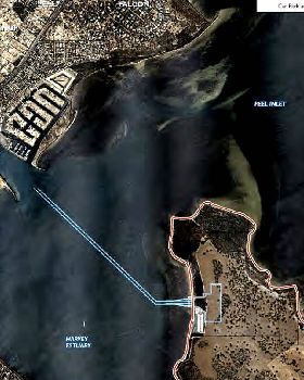 pointgrey