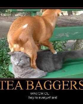 Tea e3e9bd 424026
