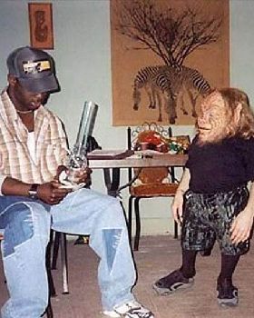 explain-the-image-99