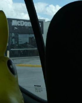 donkey mac