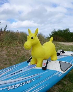 donkey rocket