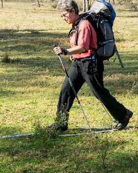 paddock bashing getting fit for skiing
