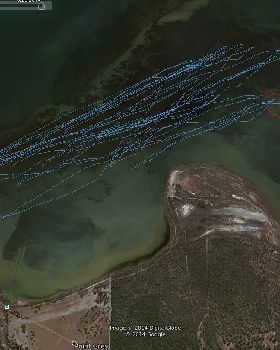 boombas reef