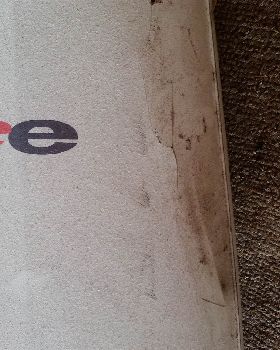 BIC Vivace 270