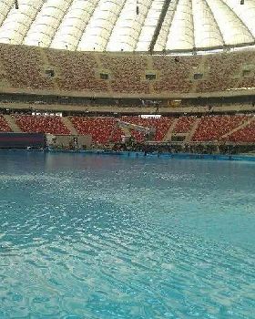 pool